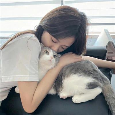 复仇之谜