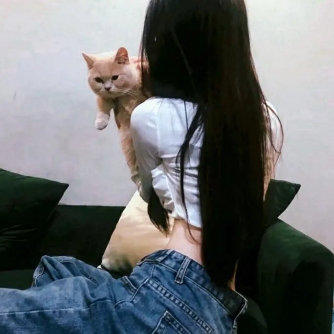 乡村豪杰